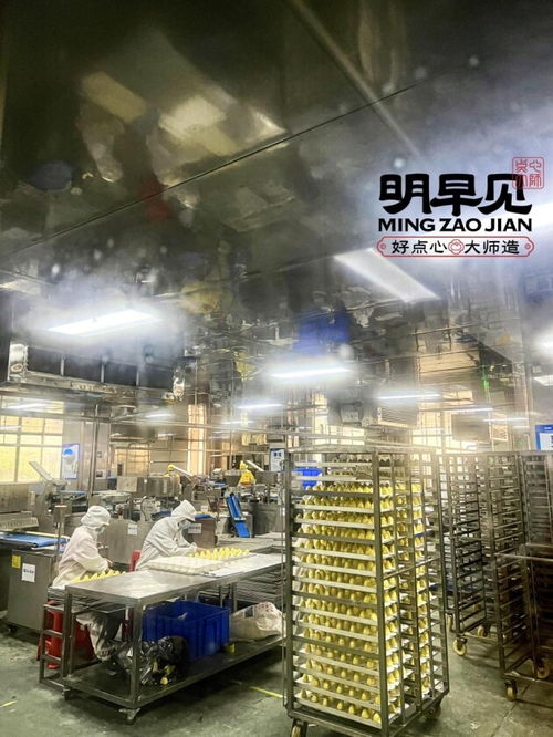 明早见中央智慧工厂 8000平米赋能，重塑包点行业完整供应链