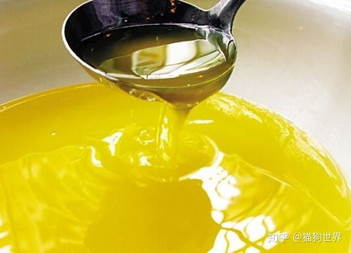 深耕品质，赋能品牌 探寻中国优质宠物食品OEM代工与供应链管理服务